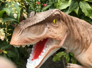 Dinosaurier, schöne Statue eines Tyrannosaurus